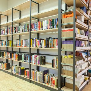 BIM aus rechtlicher und technischer Sicht